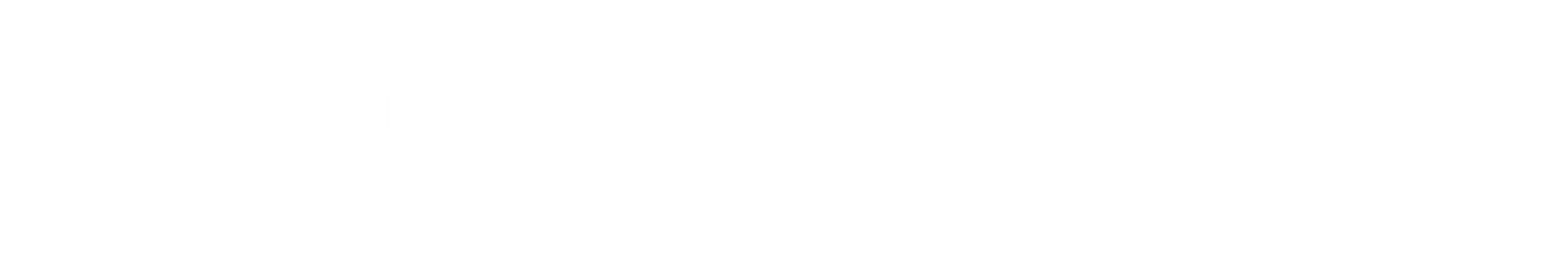Aouad Associates LLC
