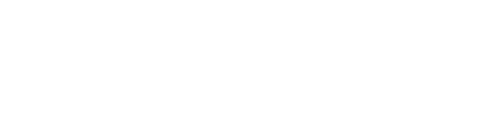 PrimePay logo